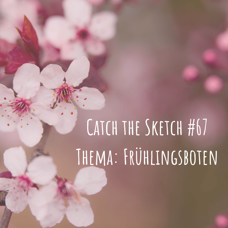 Catch the Sketch #67 Thema: Frühlingsboten